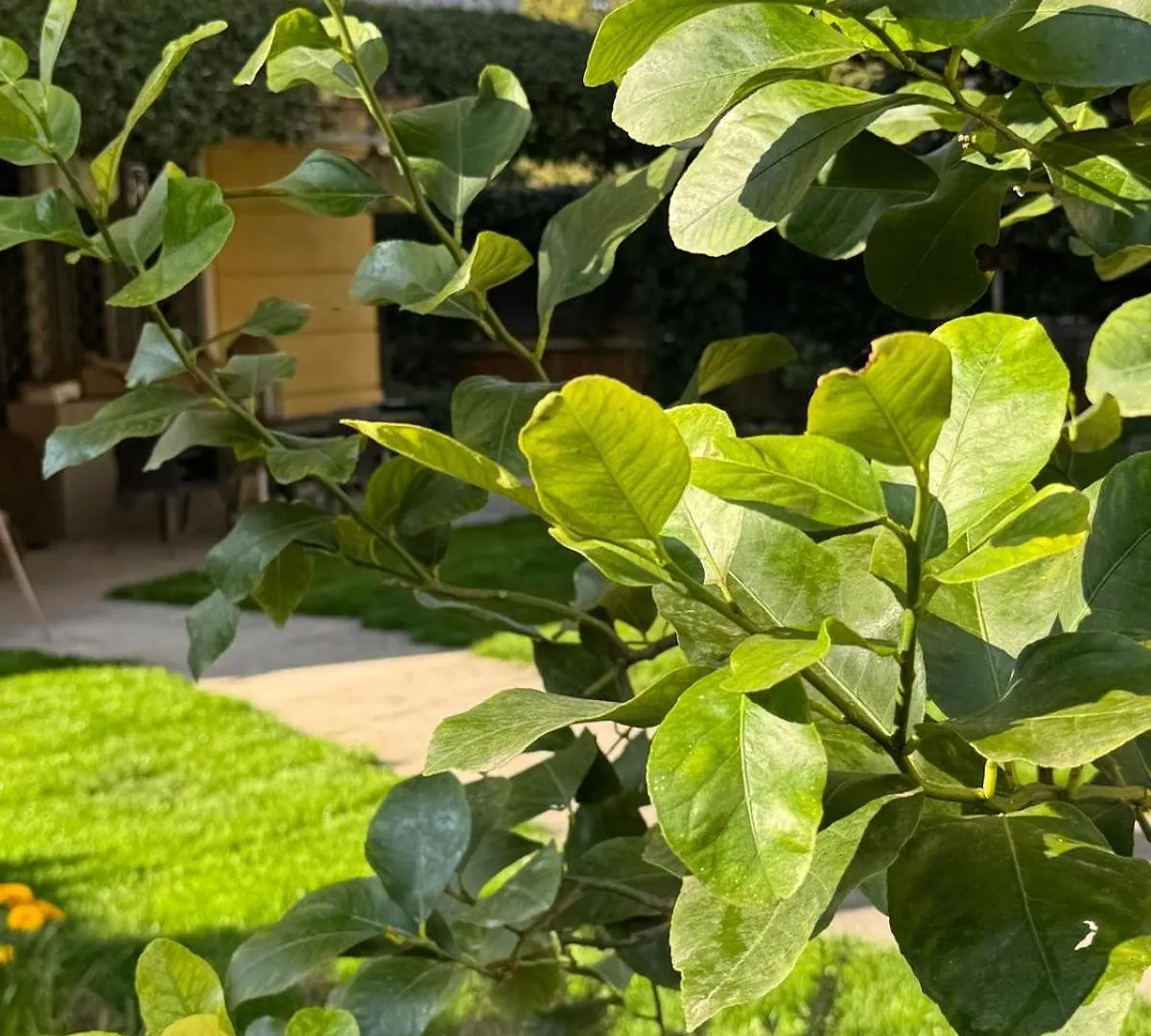 Appartamento Loft Indipendente Circondato Da Giardino A 2 Passi Dal Centro Modena Italy