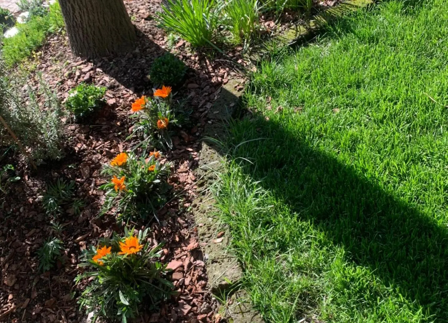 Appartamento Loft Indipendente Circondato Da Giardino A 2 Passi Dal Centro Modena