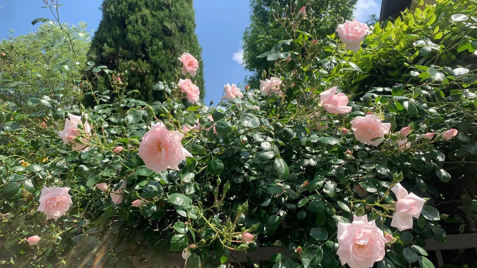 Holiday home La Tua Casa Con Giardino A 2 Passi Dal Centro Villa Modena